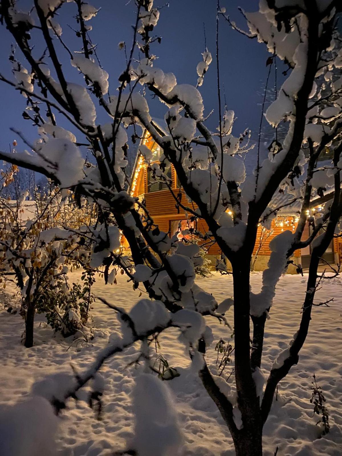Moonlake Chalet Gainesti Екстериор снимка