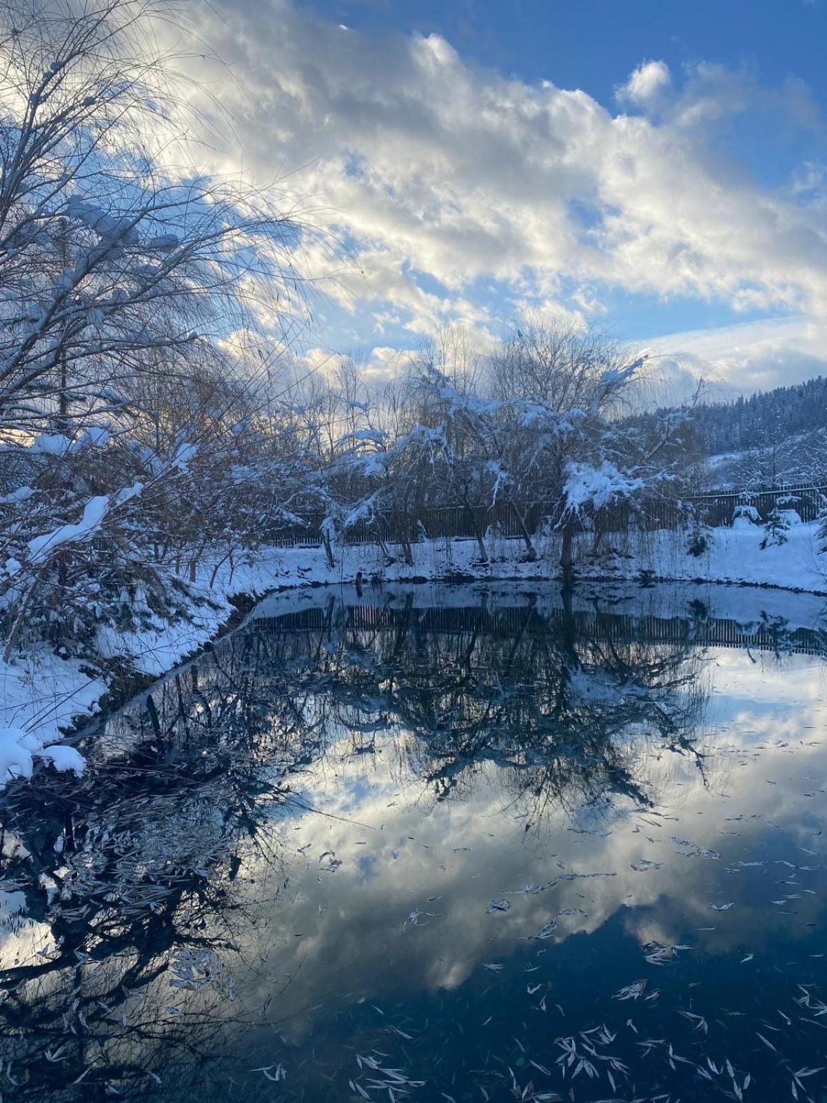 Moonlake Chalet Gainesti Екстериор снимка