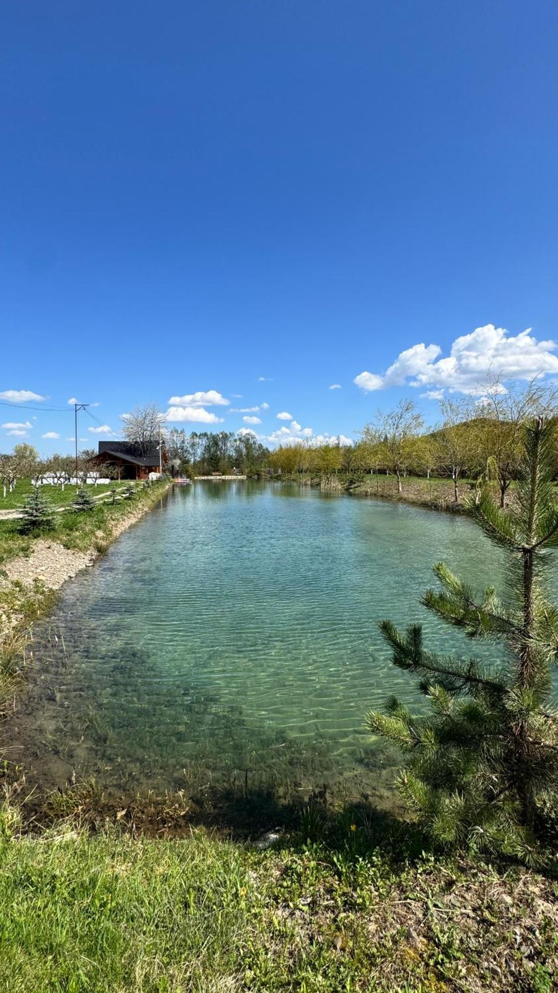 Moonlake Chalet Gainesti Екстериор снимка